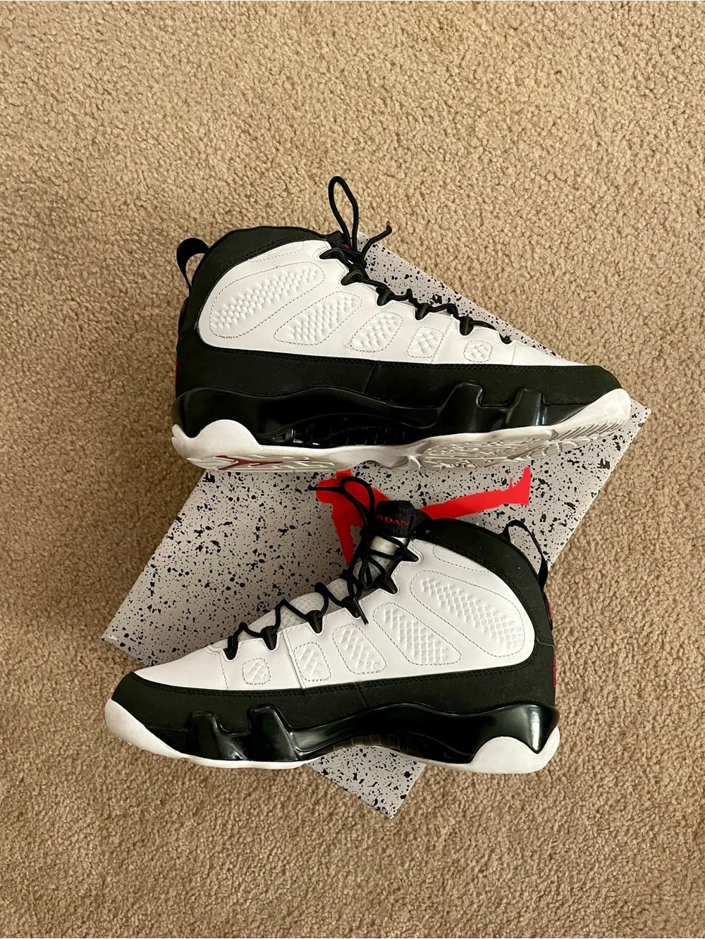 Air Jordan 10 ‘Space Jam’ 2010
